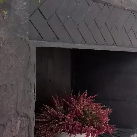 Luna Di Giorno Apartment Rimini