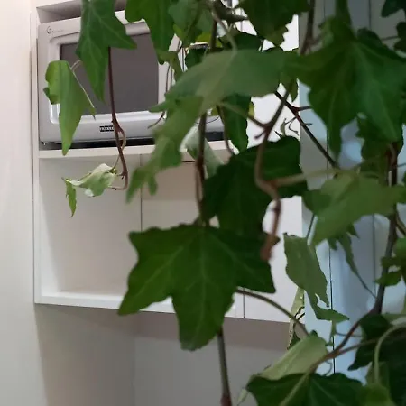 Luna Di Giorno Apartment *